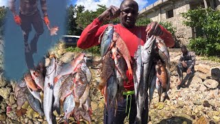 Hunting Fresh Fish For Dinner In Jamaica 🇯🇲 [upl. by Notfol639]