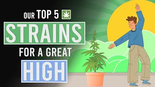 Our Top 5 Weed Strains for a Great High [upl. by Reinold]