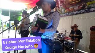 Eslabon Por Eslabon  Kodigo Norteño 🤠 Cover 2024 [upl. by Gaby]