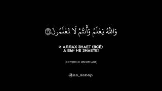 Сура 3я «АлюИмран» Семейство Имрана Аяты 6668Чтец Мухаммад АльЛюхайдан люхайдан [upl. by Ailisec768]