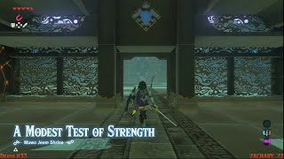 Zelda Breath of the Wild A Modest Test of Strength Master Mode [upl. by Remled]