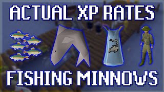 Actual XP Rates for Fishing Minnows in OSRS [upl. by Sumerlin]