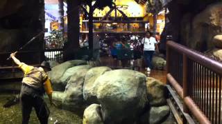 Bass Pro Shops In Rancho Cucamonga California [upl. by Laenahtan]