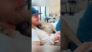 cat dog dogs cut cute love lovecats lovedogs funny virla viralvideo foryou foryoupage [upl. by Nywrad]