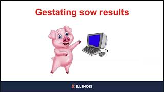 Digestibility of energy by gestating and lactating sows and concentrations of De and ME [upl. by Kathi]