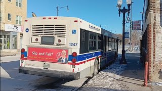 CTA New Flyer D40LF on Route 79 1247 Finally First Bus video of 2024 [upl. by Ayalahs]