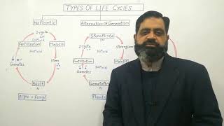 Plant Life cycles English medium profmasoodfuzail  Diplontic life cycle  Haplontic cycle [upl. by Hankins]