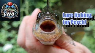 Lure fishing two canals for perch amp some accidental pike on a shad amp creature bait Mid wales UK [upl. by Massiw]