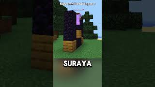 LL LAN HAYI minecraft shors fyp [upl. by Nisay]