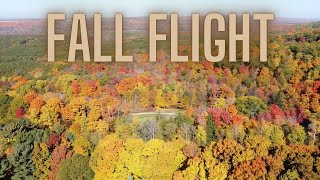 Fall Flight 2024 [upl. by Dnomal]