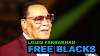 Minister Louis Farrakhan Famous Address Black Lives matter [upl. by Inanuah]