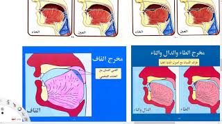 Das arabische Alphabet Teil 1 Schriftzeichen und Aussprache [upl. by Dulce]