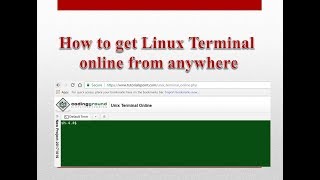 How to get Linux Terminal online from anywhere [upl. by Giacinta379]