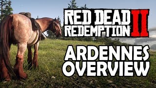 Ardennes Overview  Red Dead Redemption 2 Horses [upl. by Pelagias]