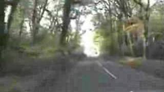 A drive through Burnham Beeches [upl. by Yard]