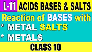 Reaction of Bases with Metals and Heavy Metal Salts  L11 Acids Bases and SaltsClass 10th [upl. by Abbotsun]