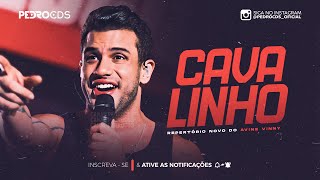 ÁVINE VINNY  CAVALINHO [upl. by Agler]