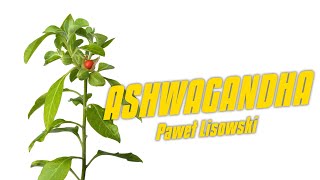 Ashwagandha  opinia  Paweł Lisowski [upl. by Ivek48]