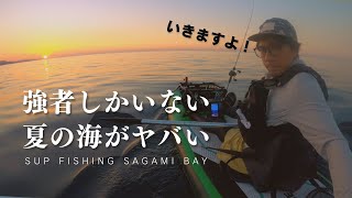 【今期最強】SUPフィッシングが釣り人の夢をかなえる訳とは 魚探解説付き [upl. by Niki]