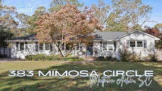 Charming Midtown Retreat at 383 Mimosa Circle [upl. by Gadmon]