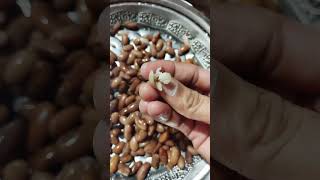 14 November 2024 rajma ka dana shortvideo myfirstvlog fastvideo sabjirecipe [upl. by Leibarg656]