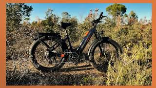 Lankeleisi MG600 Plus 2024 best electric fat bikes [upl. by Marcos]