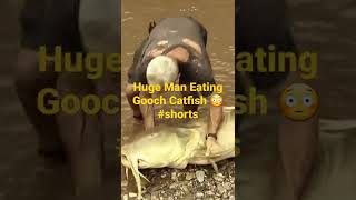 Goonch Catfish eat human remains 😳🤯 [upl. by Mel266]