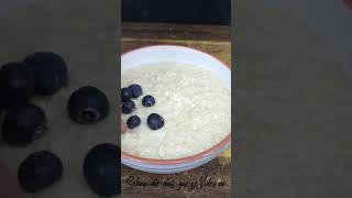 High Protein Porridge selber machen  Rezept  Natürlich Lecker shorts [upl. by Liuqnoj269]