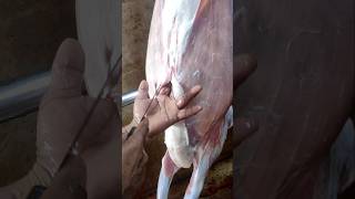 Amazing goat ox Pakistani mutton cutting trending beefcuttingmarket beefdishes reelsvideo [upl. by Acinorev]