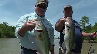 Bass Fishing at Sardis Lake [upl. by Tremml]