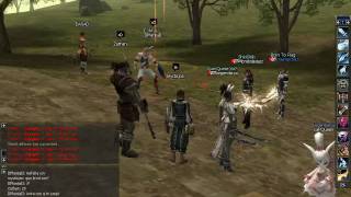 Lineage II C4 Gameplay Video [upl. by Ecined157]