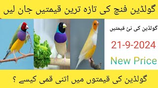 Gouldian Finches Latest Price in Pakistan 2024  Gouldian Finch Price New Update  2192024 [upl. by Wolfram]