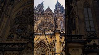 St Vitus Cathedral  Prague 🏛️ travel shortvideo vacation czech [upl. by Narine]