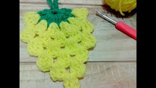 Crochet Piña  Ananá tejida paso a paso Apliques [upl. by Haikan]