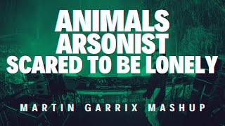 Animals vs Arsonist vs Scared To Be Lonely Martin Garrix UMF 2017 Mashup [upl. by Ahtis]