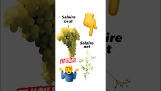 Le salaire NET… Cette BLAGUE 🤦‍♂️😂 Qui a remarqué  🤚 [upl. by Redle]