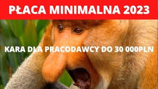 Płaca minimalna 2023  czy wiesz że pracodawcy grozi kara do 30 000 PLN [upl. by Rolando43]