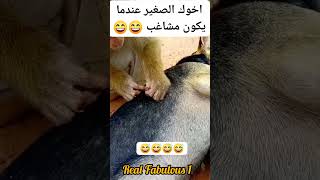 My eyes don see shage video funny trendingvideo comedy viralvideo film movie [upl. by Rebecka]