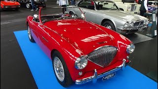 1954 AustinHealey 100 BN1L  Exterior and Interior  Motorworld Classics Bodensee 2022 [upl. by Mcdonald]