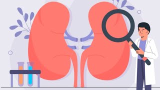 nephrology clinical physiology part 1 [upl. by Lebasiram934]