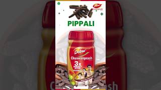 Pippali Experience the Digestive Strength of Dabur Chyawanprash shorts daburchyawanprash [upl. by Namar]