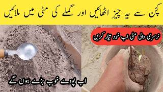 Nursery wali mitti ab khud taiyar Karen  How to make organic potting soil for plants [upl. by Nomead696]