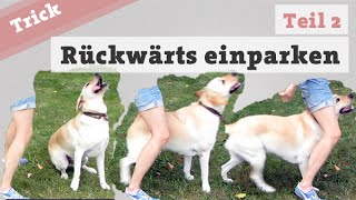 Rückwärts einparken  Teil 2 Hund Tricks beibringen Hundetrick Hundetraining Hundetricks [upl. by Edasalof915]