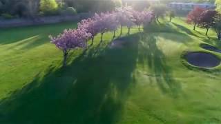 Hole 7 Duddingston [upl. by Niletak]