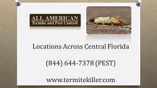 All American Termite amp Pest Control Reviews  Central Florida Exterminators [upl. by Marlane]