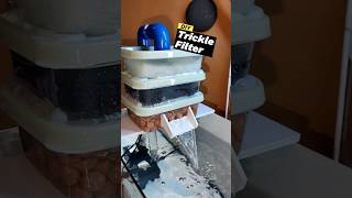 DIY Trickle Filter fish aquarium aquariumfilter shorts diy aquariumfishtank diyfishpond [upl. by Attelrak583]