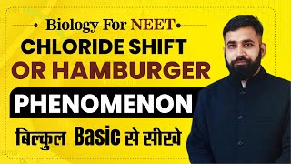 Chloride shift or Hamburger phenomenon NEET BIOLOGY [upl. by Incrocci]