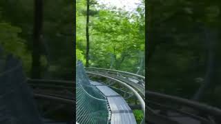 Crazy ride by my daughter at smoky mountain [upl. by Melentha]