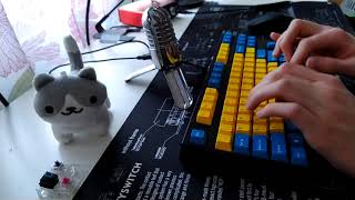 Leopold FC750R PD sound test with stock Cherry MX Blacks [upl. by Lessig]