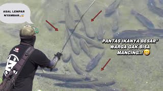 Mengerikan Saat mancing nemu sarang ikan gabus monster berkumpul [upl. by Nol]